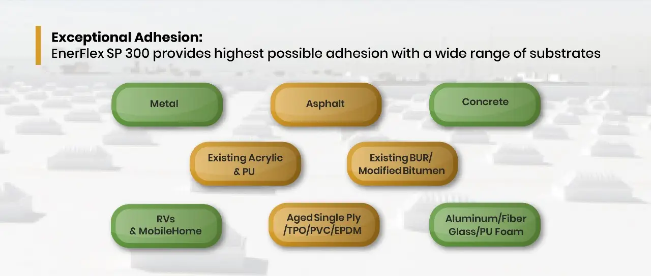 EnerFlex SP 300 Mockup