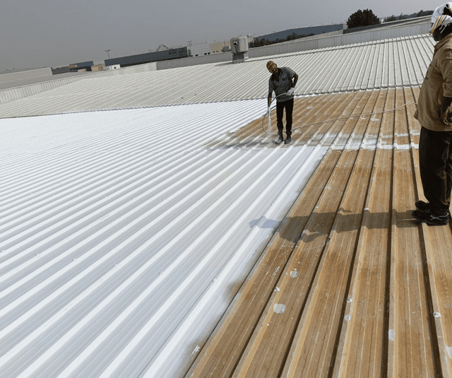 Metal Roof Restoration