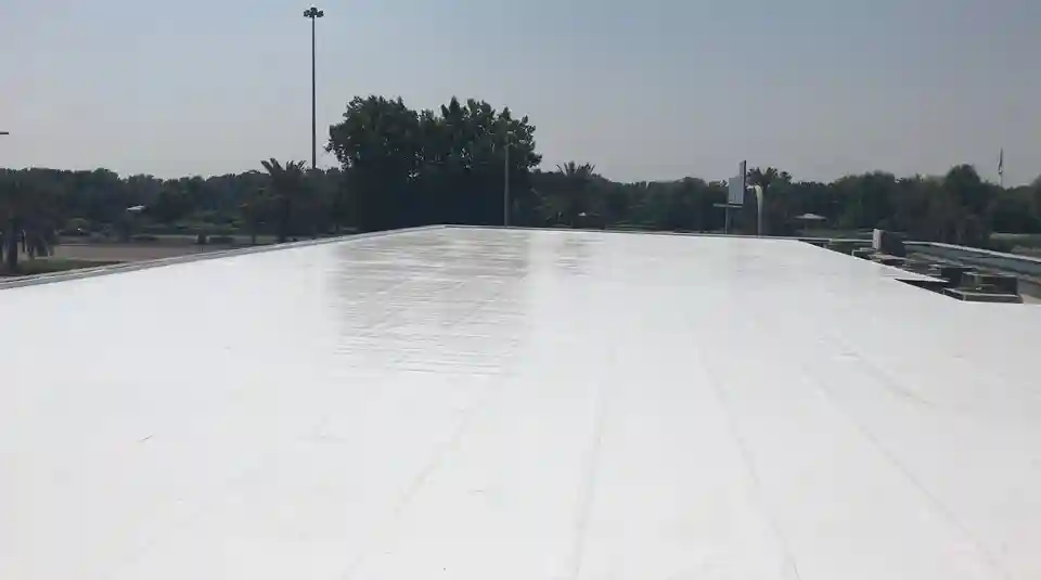 Cool Roof Coatings